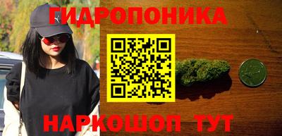 PSILOCYBIN Пенза