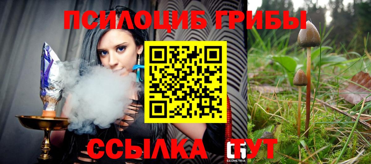 Трёхгорный  Галлюциногенные грибы MAGIC MUSHROOMS  Вход с VPN  Псилоцибиновые грибы мухоморы 